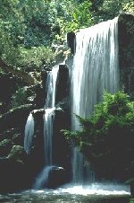 sc1087.jpg (13047 bytes)